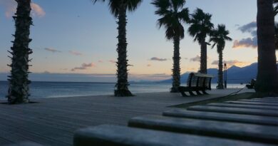 Antalya Film Festivali’nin afişi açıklandı.