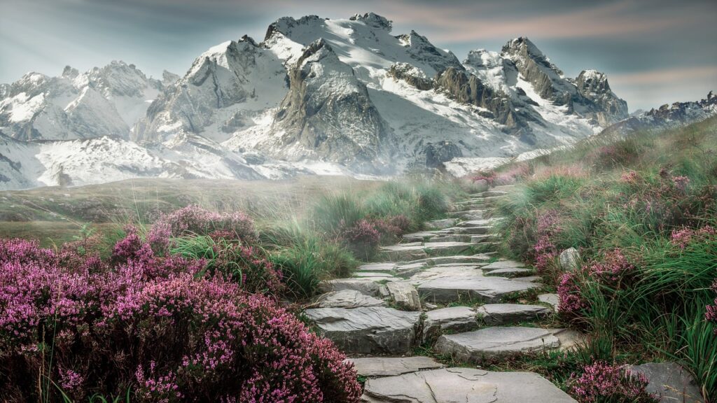 A Cure For Wellness’tan Ürkütücü Fragman!