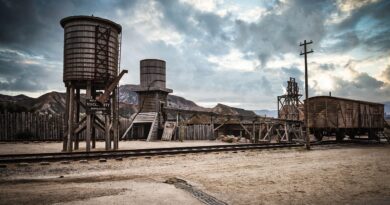 Westworld’e İkinci Sezon için izin geldi!