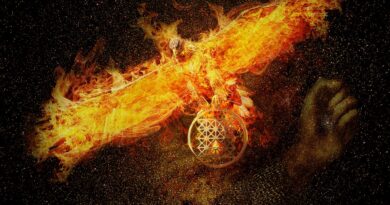 Haber Jean Grey’den