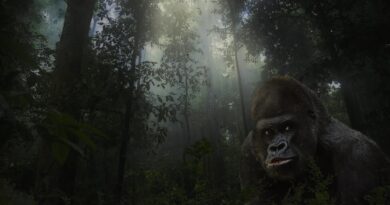 War for the Planet of the Apes’ten Fragman