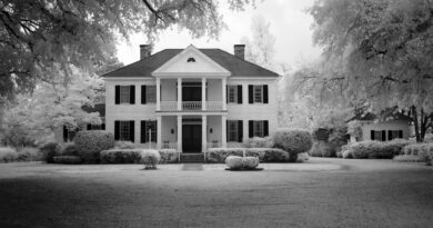 The Beguiled Filminden Yeni Fragman