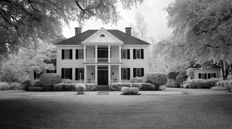 The Beguiled Filminden Yeni Fragman