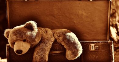 Brigsby Bear’dan İlk Tanıtım