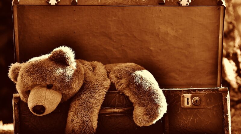 Brigsby Bear’dan İlk Tanıtım