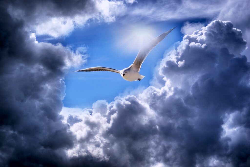 Ekibe Superman De Katıldı