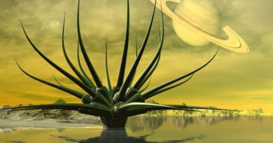 Science Fiction Volume One: The Osiris Child Bugün Vizyonda