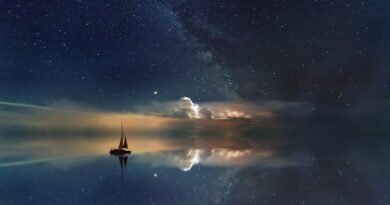 Star Wars: Son Jedi Tamamlandı