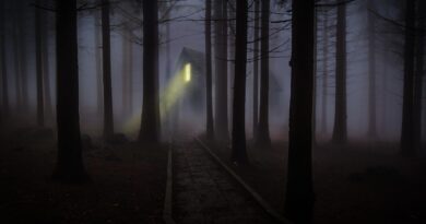 Stephen King’in 8 Korku Filmi