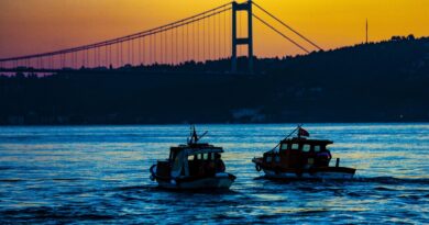 5. Uluslararası Boğaziçi Film Festivali