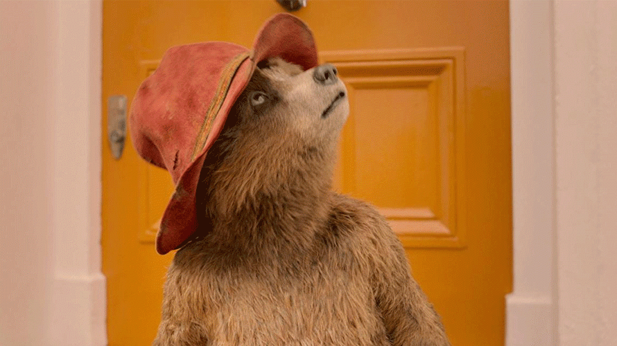 Ayı-Paddington-2