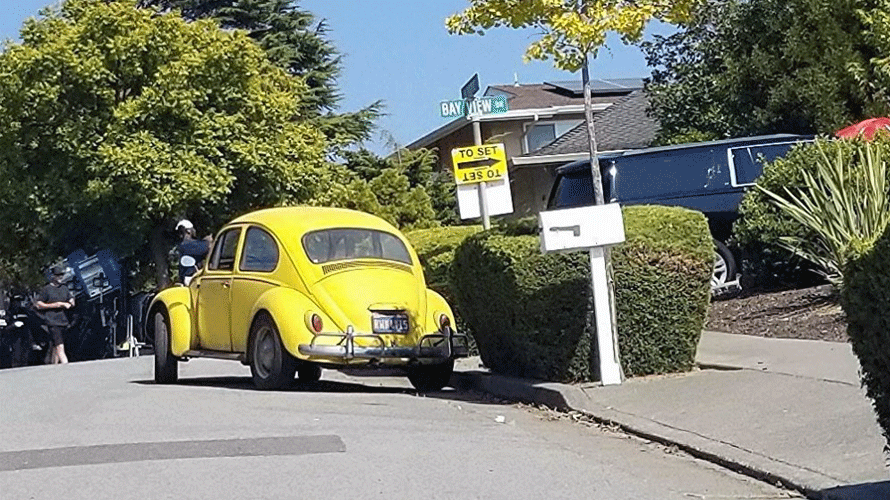 bumblebee-volkswagen-beetle