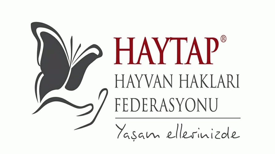HAYTAP