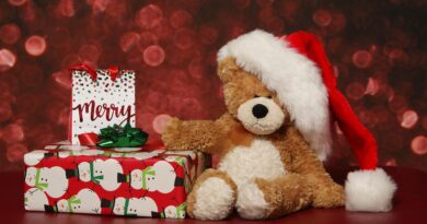 Santa & Cie ile Noel Baba Yeni Yıl’ı Kurtarabilecek Mi?