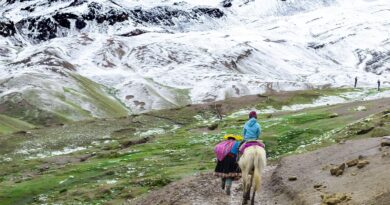 La Cordillera(Zirve) İçin Geri Sayım Başladı