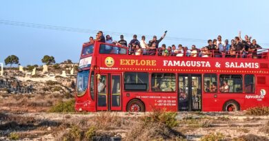 Organize İşler Beyazperdeye Dönüyor