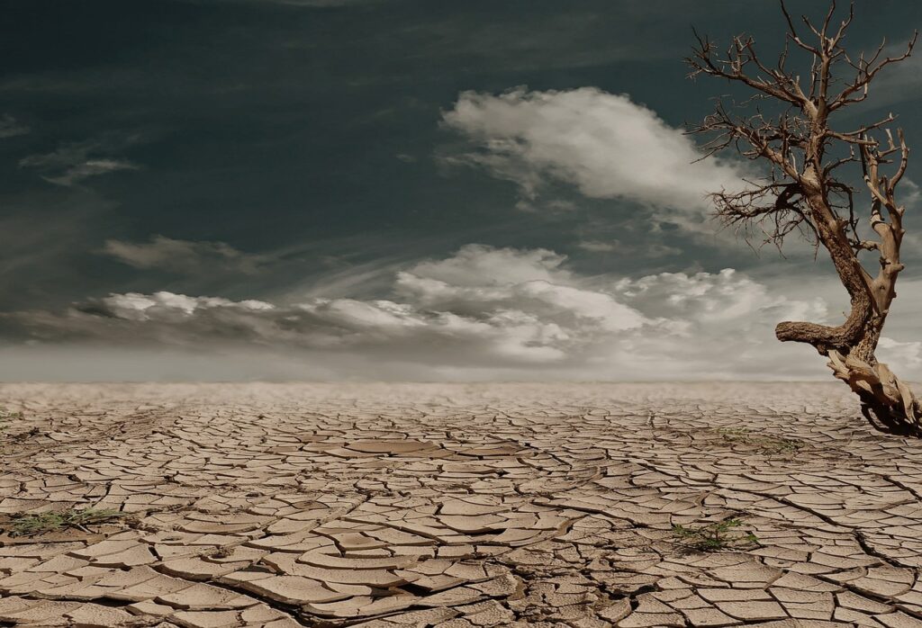 Post-Apokaliptik “Scorched Earth”ten Vizyona Giriyor