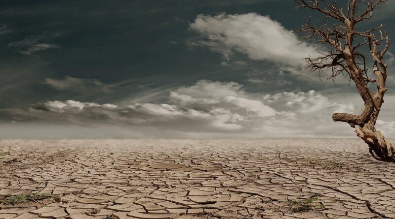 Post-Apokaliptik “Scorched Earth”ten Vizyona Giriyor