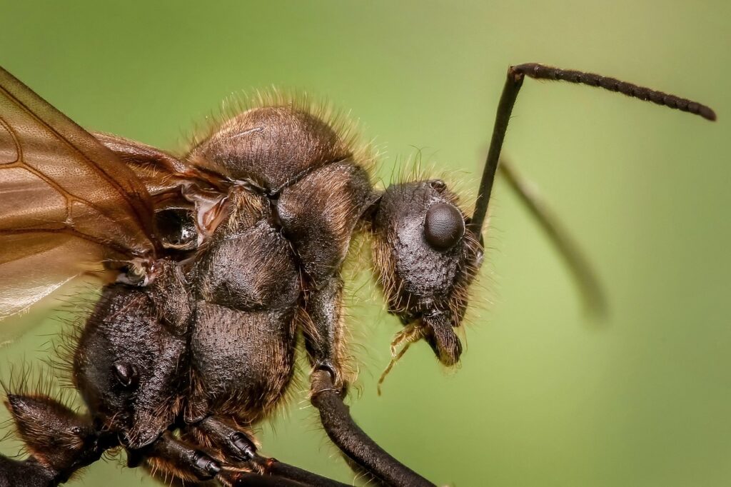 Ant-Man and The Wasp İçin Geri Sayım Başladı