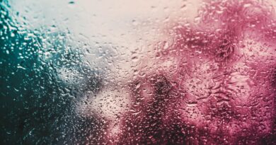 Netflix’in Danimarka Yapımı The Rain Gösterime Giriyor