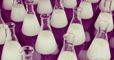 Twilight’ın Yazarı Stephenie Meyer’ın The Chemist Romanı Ekrana Uyarlanıyor