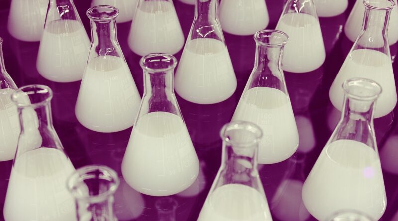 Twilight’ın Yazarı Stephenie Meyer’ın The Chemist Romanı Ekrana Uyarlanıyor