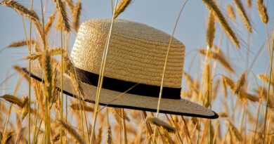 Al Capone filminin kadrosu genişliyor