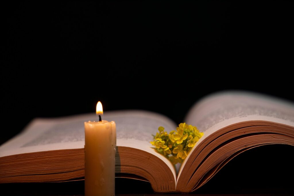Fahrenheit 451’in prömiyer tarihi belli oldu