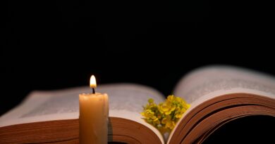 Fahrenheit 451’in prömiyer tarihi belli oldu
