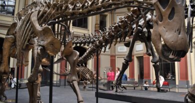 Jurassic World: Fallen Kingdom filminden yeni poster geldi