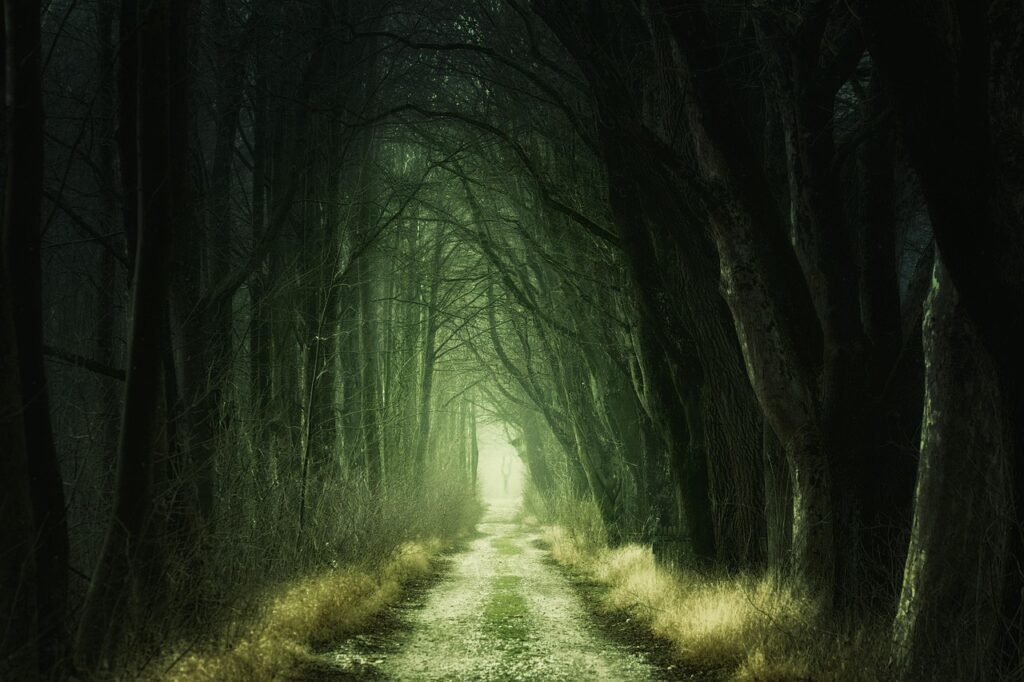 ‘The Path’ final yapıyor!