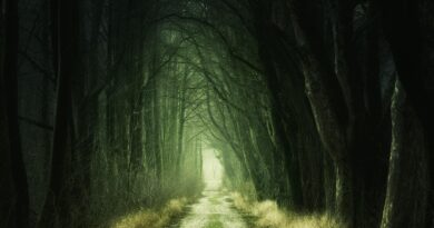 ‘The Path’ final yapıyor!