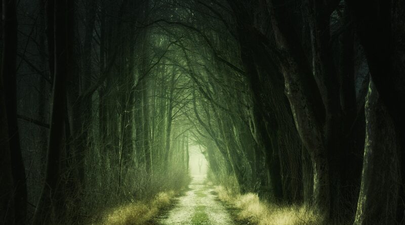 ‘The Path’ final yapıyor!