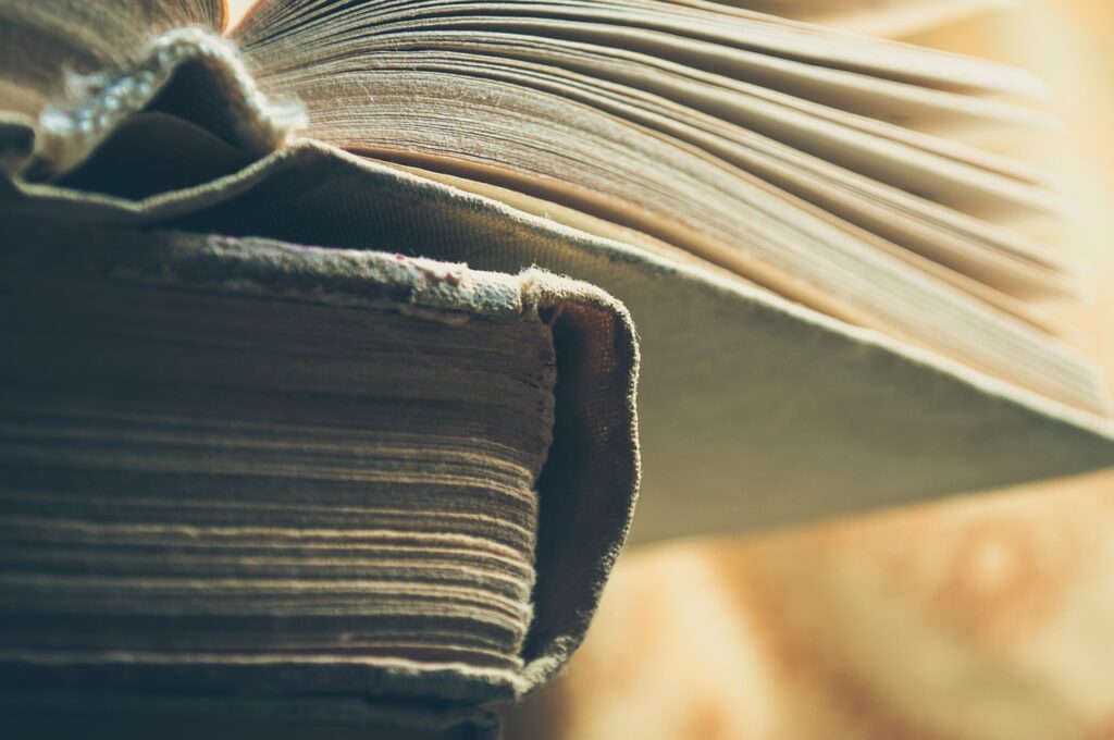 Fatih Akın, Stephen King’in romanını sinemaya uyarlıyor