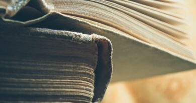 Fatih Akın, Stephen King’in romanını sinemaya uyarlıyor