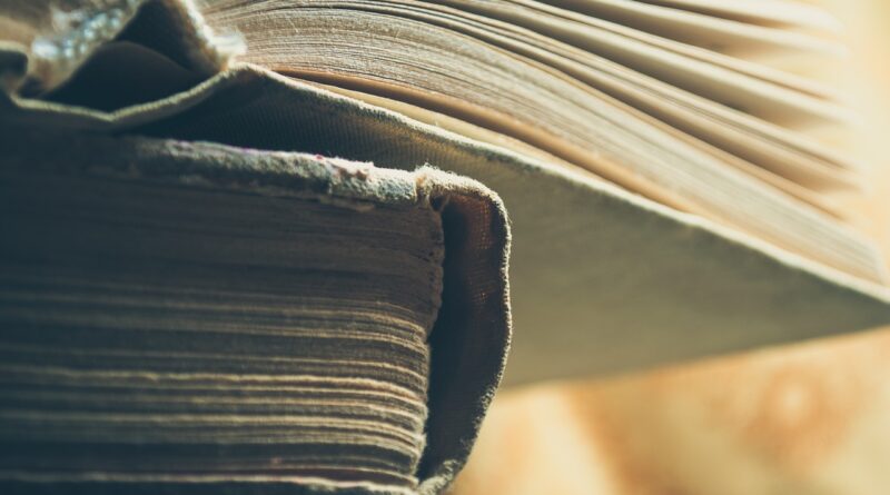 Fatih Akın, Stephen King’in romanını sinemaya uyarlıyor