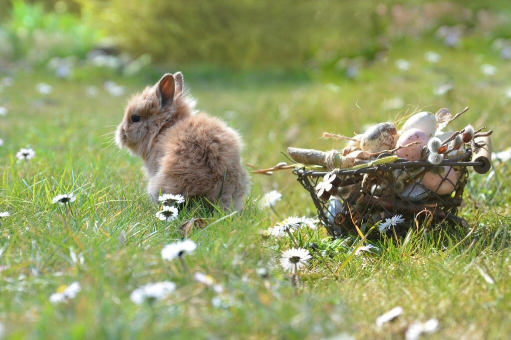 Jojo Rabbit’ten ilk görsel