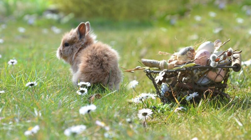 Jojo Rabbit’ten ilk görsel
