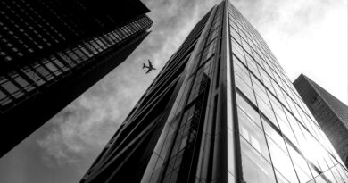 Skyscraper’dan poster yayınlandı
