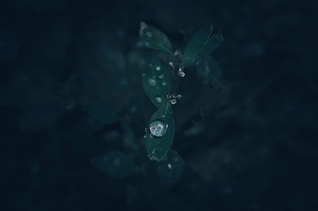 The Rain 2. sezon onayını aldı