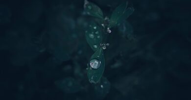 The Rain 2. sezon onayını aldı