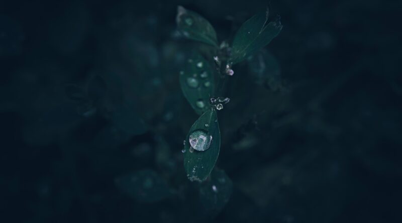 The Rain 2. sezon onayını aldı