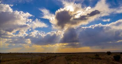Better Call Saul 4.sezondan ilk fragman