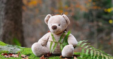 Christopher Robin’den yeni fragman