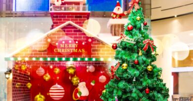 Grinch’ten yeni fragman