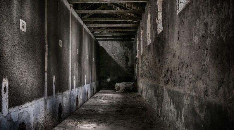 Canavar’dan altyazılı fragman geldi