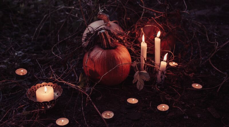 ‘Halloween’ serisi dizi mi oluyor?