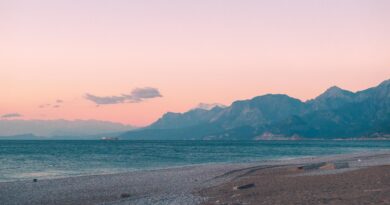 Antalya Film Forum ödülleri  sahiplerini buldu