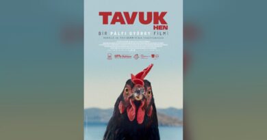 Tavuk afişi