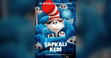 Şapkalı Kedi afişi